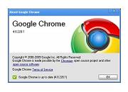 Google Chrome 4