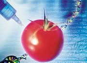 Web Organisme Modificate Genetic